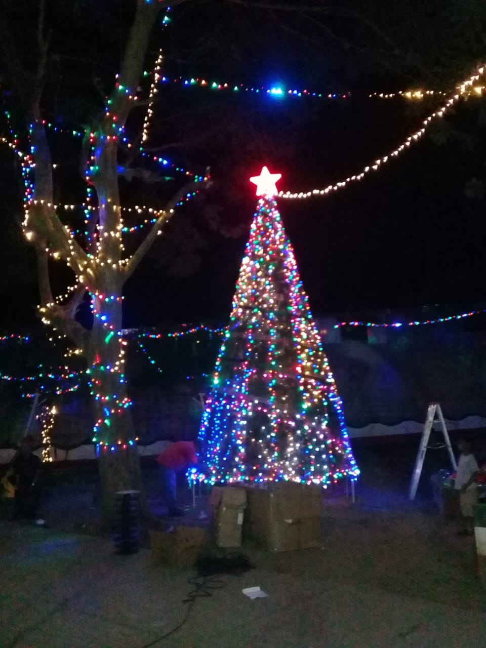 navidad